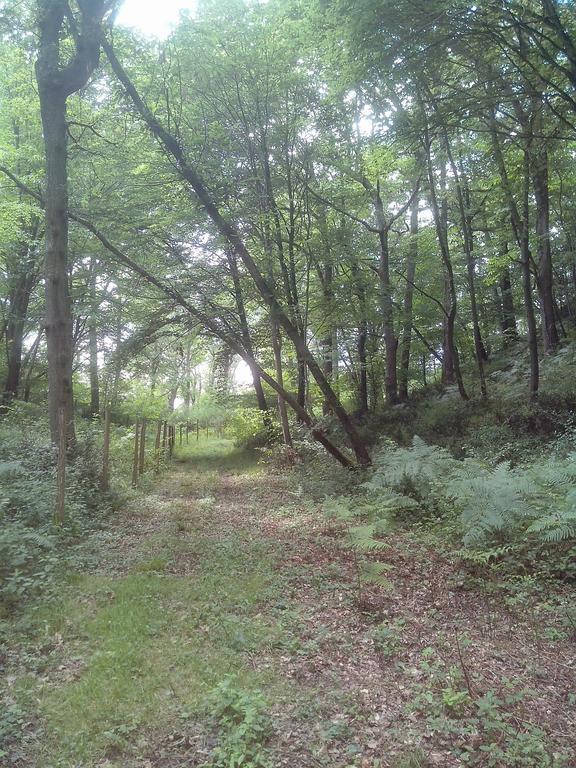 Les Gites De Castera Aire-sur-lʼAdour Exterior foto
